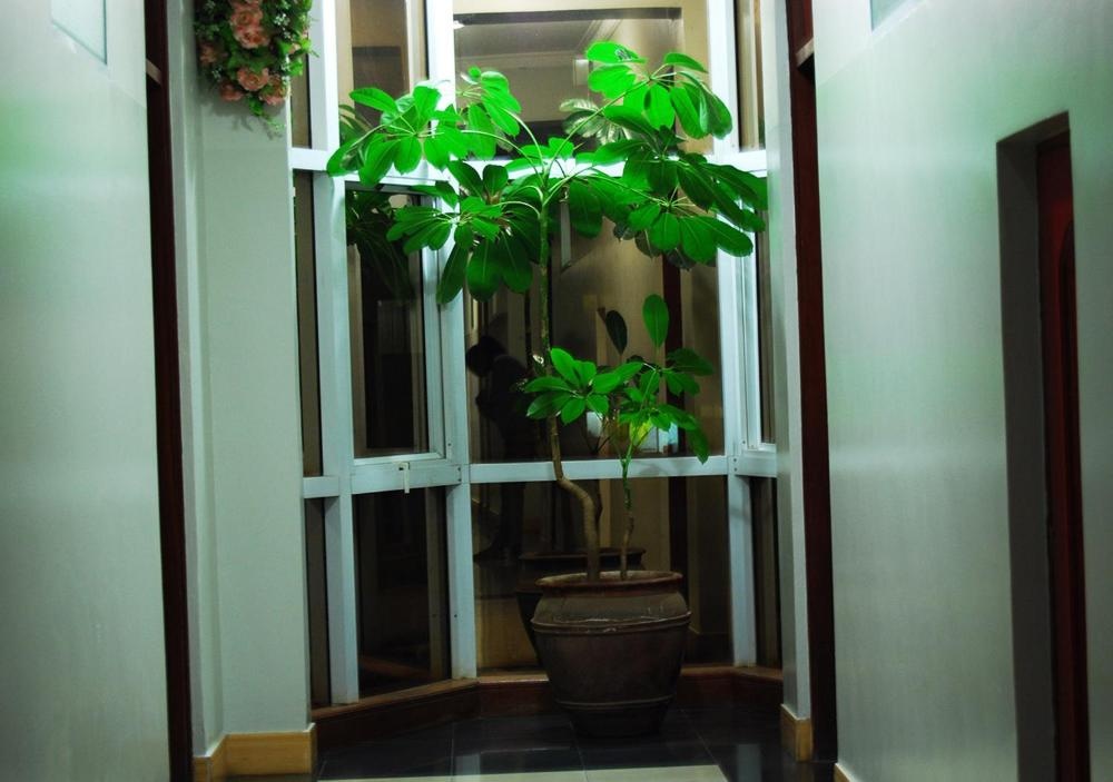 Mc-Elly's Hotel Image 7